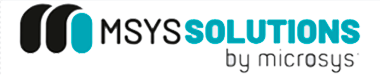 Microsys | Soluções de Gestão